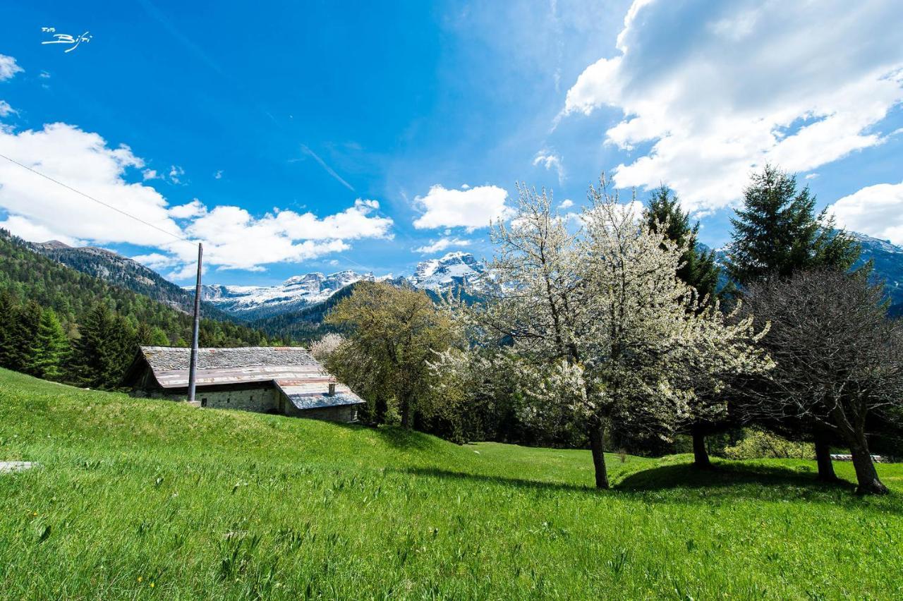 Olympic Regina Hotel Pinzolo Exterior photo