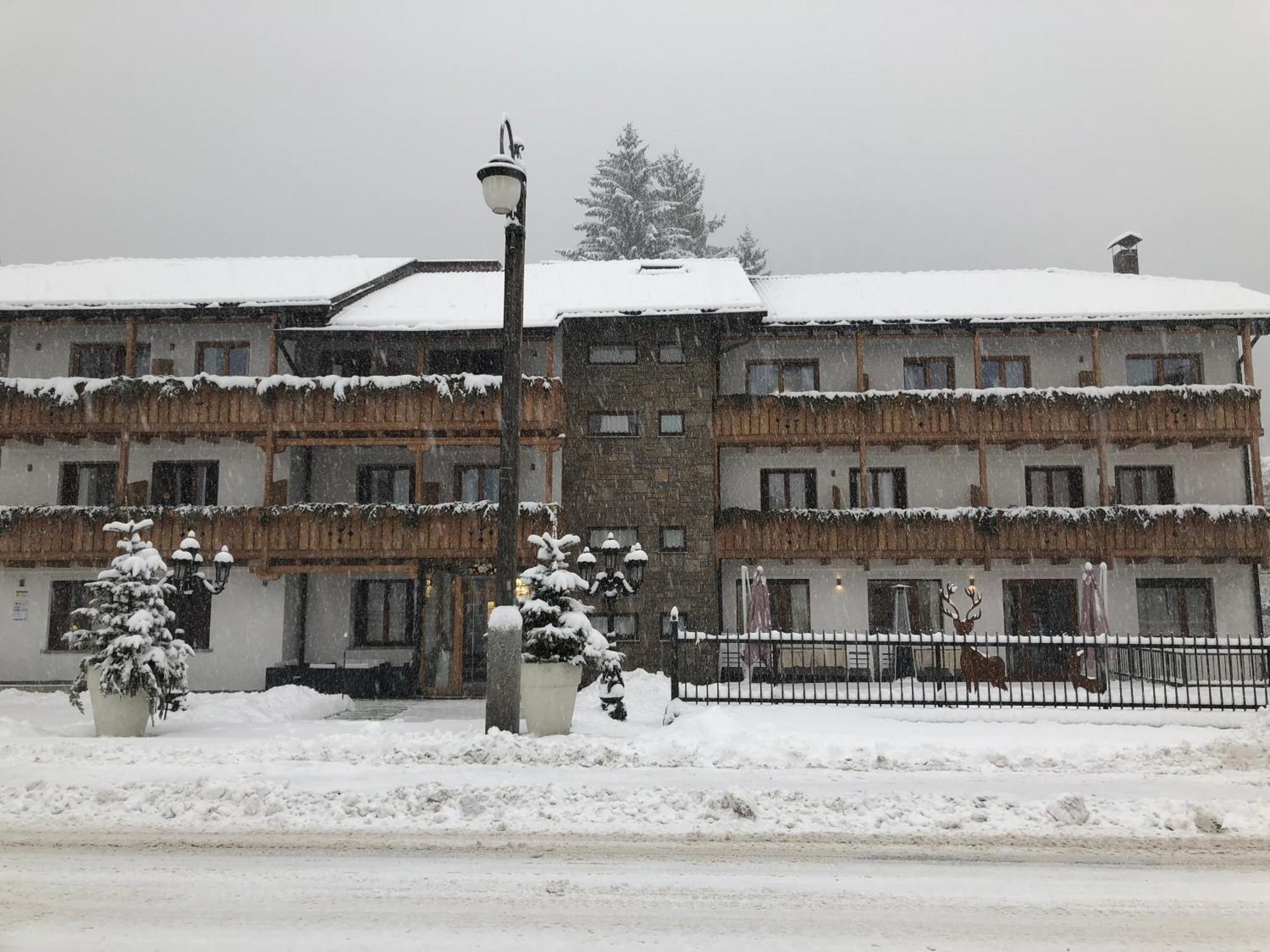 Olympic Regina Hotel Pinzolo Exterior photo