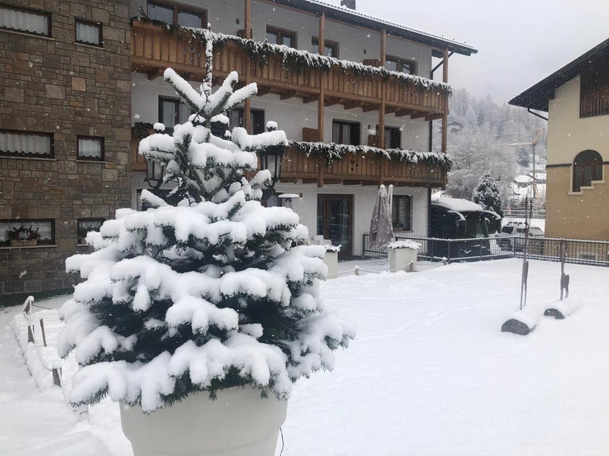 Olympic Regina Hotel Pinzolo Exterior photo